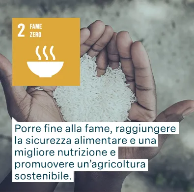 Obiettivi di sviluppo sostenibile dalla FAO: Fame zero - Porre fine alla fame, raggiungere la sicurezza alimentare e una migliore nutrizione e promuovere un’agricoltura sostenibile.